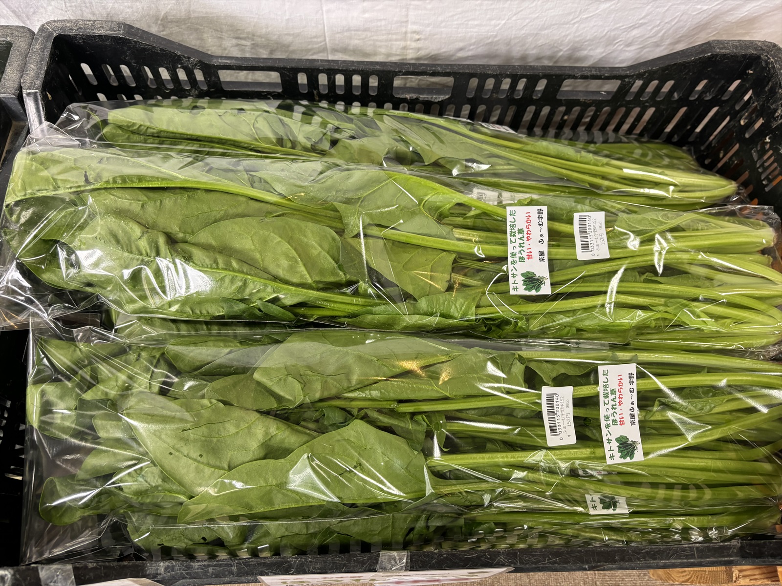 新鮮な旬の味覚5