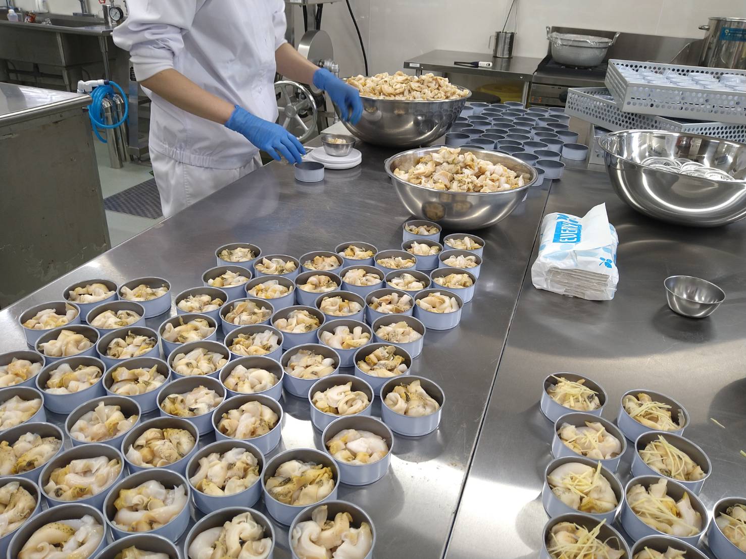 バイ貝缶詰の製造