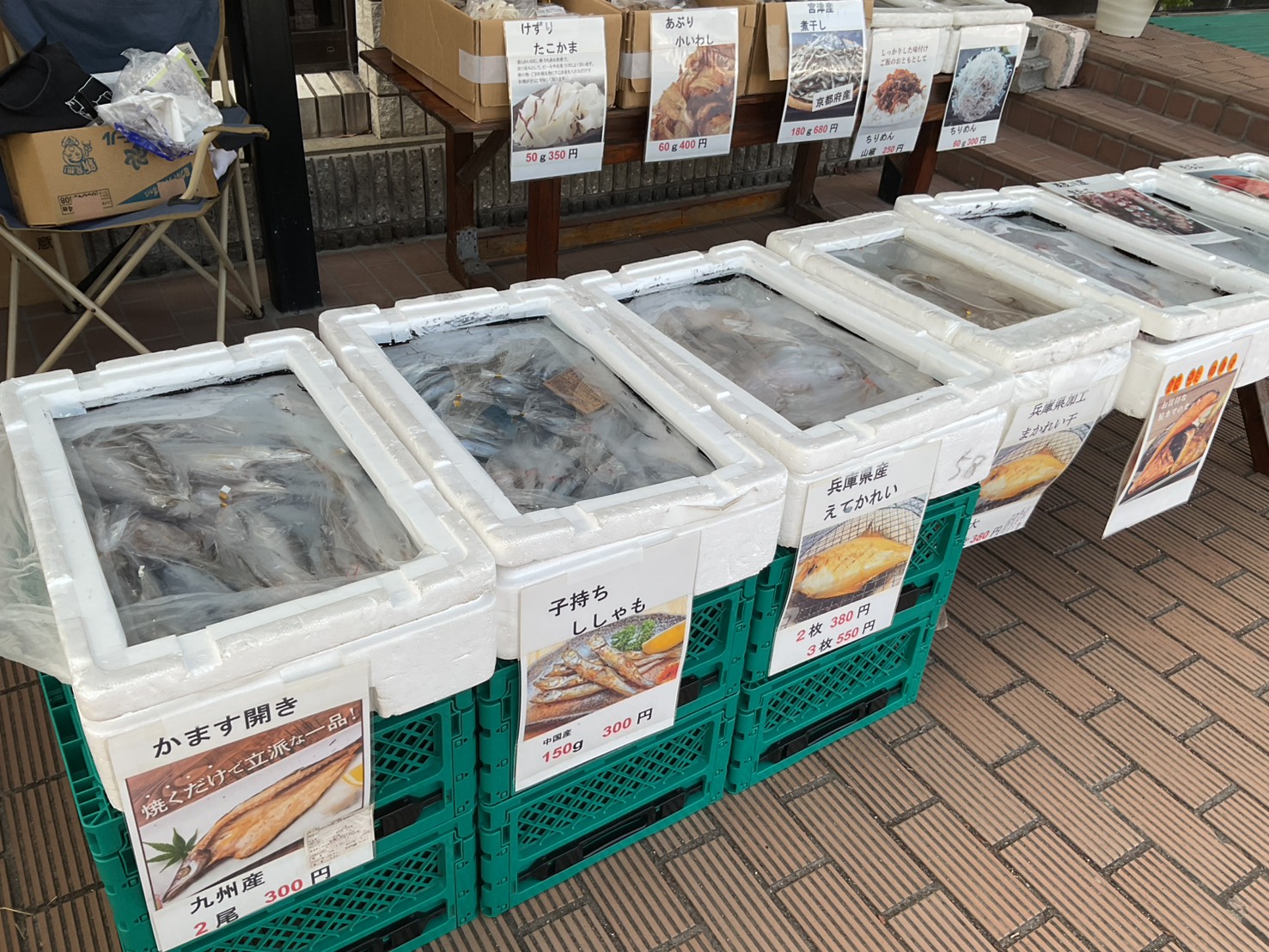 新鮮な魚介類