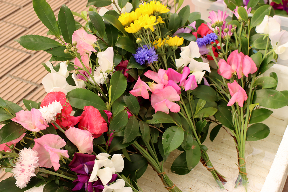 キレイな花も販売しています